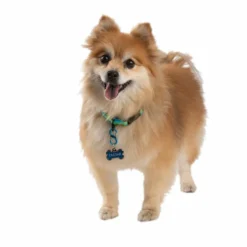 NITE IZE S-Biner® TagLock™ Aluminum,- 2-Pack 8 NITE IZE S-Biner® TagLock™ Aluminum,- 2-Pack -Boat Cabin And Galley Store 19273606 4 1500.26102018113331