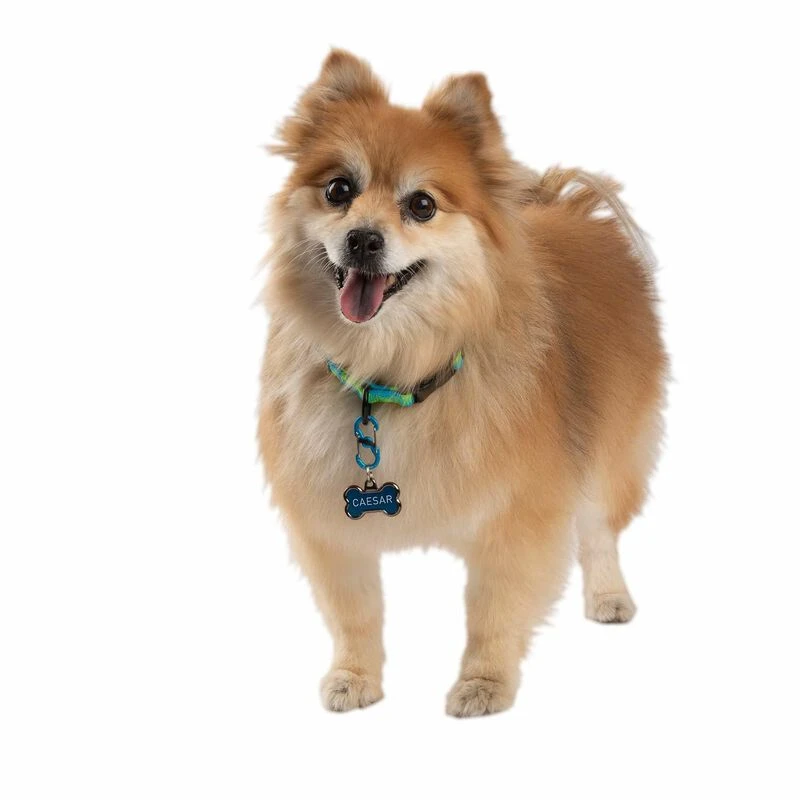 NITE IZE S-Biner® TagLock™ Aluminum,- 2-Pack 4 NITE IZE S-Biner® TagLock™ Aluminum,- 2-Pack - Image 4