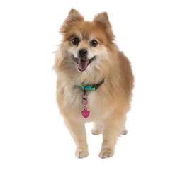 NITE IZE S-Biner® TagLock™ Aluminum, 2-Pack -Boat Cabin And Galley Store 19273614 4 1500.26102018113346